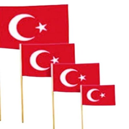 BK626- Sopalı Türk Bayrağı