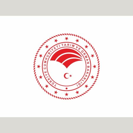 BK605 - Bakanlık Bayrak (Rashel)